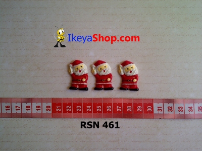 rsn 461  large2